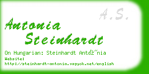 antonia steinhardt business card